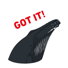 Whales&Dolphins sticker #119101