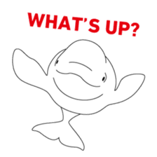 Whales&Dolphins sticker #119109