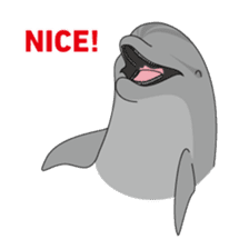 Whales&Dolphins sticker #119115