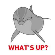 Whales&Dolphins sticker #119119