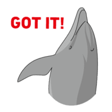 Whales&Dolphins sticker #119122
