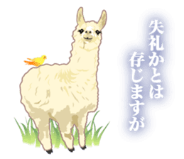 Alpaca and friends business Japanese sticker #119227