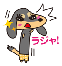 Miniature Dachshund "UMI"! sticker #120772