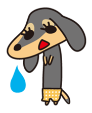Miniature Dachshund "UMI"! sticker #120780