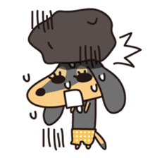 Miniature Dachshund "UMI"! sticker #120782
