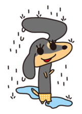 Miniature Dachshund "UMI"! sticker #120803