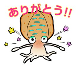 Bigfin reef squid sticker #125164
