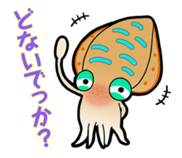 Bigfin reef squid sticker #125170