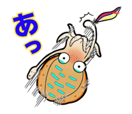 Bigfin reef squid sticker #125173