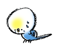 Budgerigar parakeet series sticker #126634
