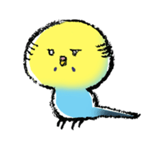 Budgerigar parakeet series sticker #126638