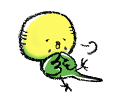 Budgerigar parakeet series sticker #126643