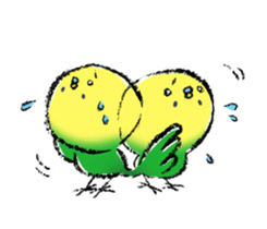 Budgerigar parakeet series sticker #126652
