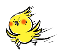 Parakeet cockatiel series sticker #127548