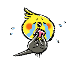 Parakeet cockatiel series sticker #127554