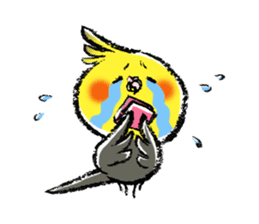 Parakeet cockatiel series sticker #127554