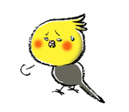 Parakeet cockatiel series sticker #127558