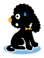 A lovely toy poodle(Black) sticker #128148