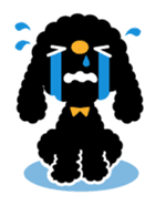 A lovely toy poodle(Black) sticker #128151