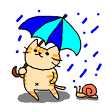 THE BROWN CAT sticker #129337