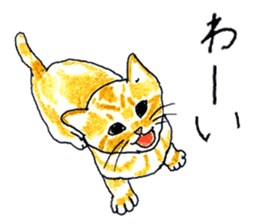 brown tabby cat koto-chan sticker #131140