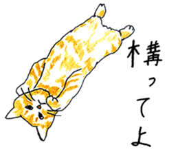 brown tabby cat koto-chan sticker #131141