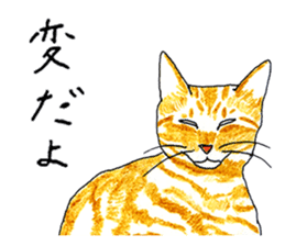 brown tabby cat koto-chan sticker #131145