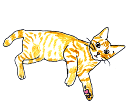 brown tabby cat koto-chan sticker #131146
