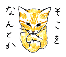 brown tabby cat koto-chan sticker #131148