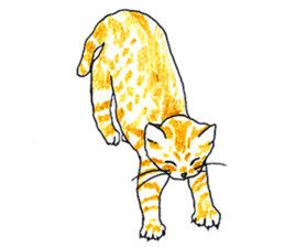brown tabby cat koto-chan sticker #131167