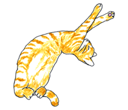 brown tabby cat koto-chan sticker #131168