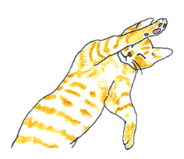 brown tabby cat koto-chan sticker #131170