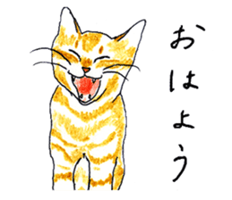 brown tabby cat koto-chan sticker #131172