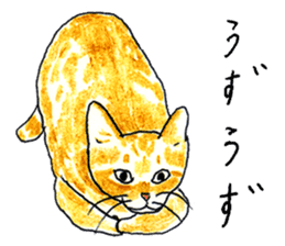 brown tabby cat koto-chan sticker #131173