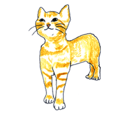 brown tabby cat koto-chan sticker #131177