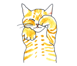 brown tabby cat koto-chan sticker #131178