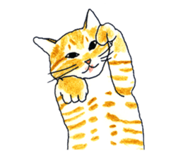 brown tabby cat koto-chan sticker #131179