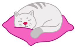 Cute Cat - funny and cute sticker #134969