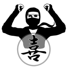 Ninja sticker #135194