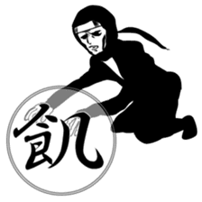 Ninja sticker #135197