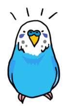 Coby and Jolly budgies sticker #135620