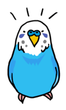 Coby and Jolly budgies sticker #135620