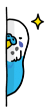 Coby and Jolly budgies sticker #135621