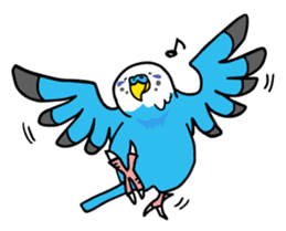 Coby and Jolly budgies sticker #135624