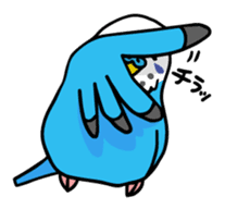 Coby and Jolly budgies sticker #135625