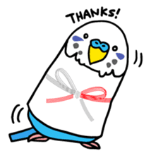 Coby and Jolly budgies sticker #135627