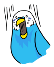 Coby and Jolly budgies sticker #135629