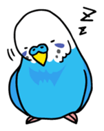 Coby and Jolly budgies sticker #135630