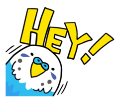 Coby and Jolly budgies sticker #135631