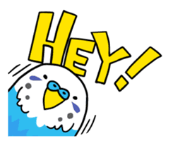 Coby and Jolly budgies sticker #135631